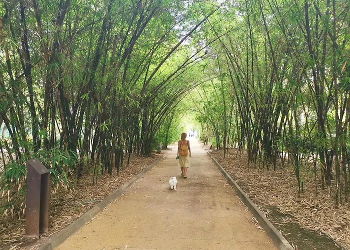 Home2book Spacious Classic Design Apto Sc Center Santa Cruz de Tenerife