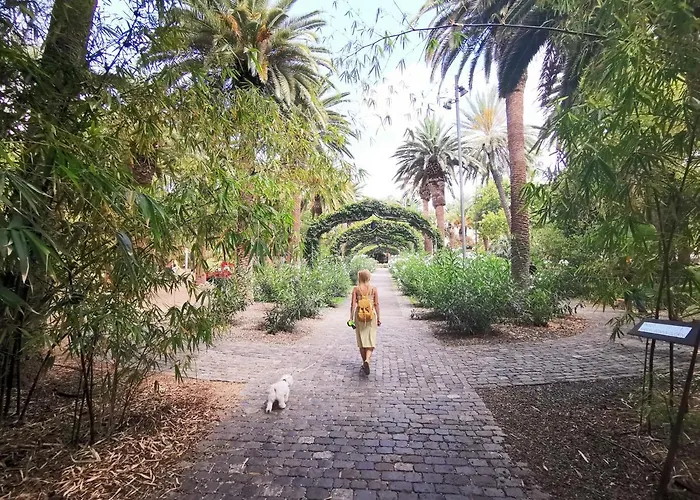 Home2book Spacious Classic Design Apto Sc Center