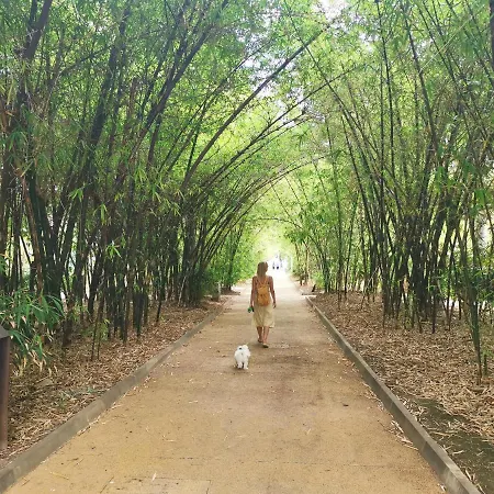 Home2book Spacious Classic Design Apto Sc Center Santa Cruz de Tenerife